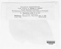Image Associated With the Occurence